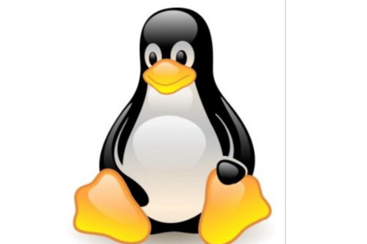 Bild zur Veranstaltung: Kein Computerschrott durch Windows 11 - Unterstützung beim Umstieg auf Linux